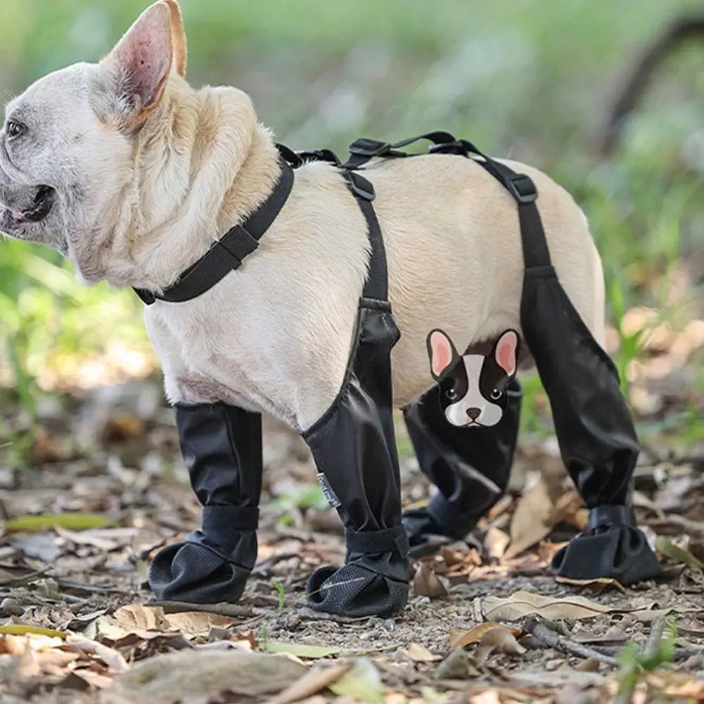 Anti-Slip Dog Shoes